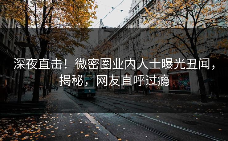 深夜直击！微密圈业内人士曝光丑闻，揭秘，网友直呼过瘾