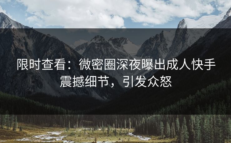 限时查看：微密圈深夜曝出成人快手震撼细节，引发众怒