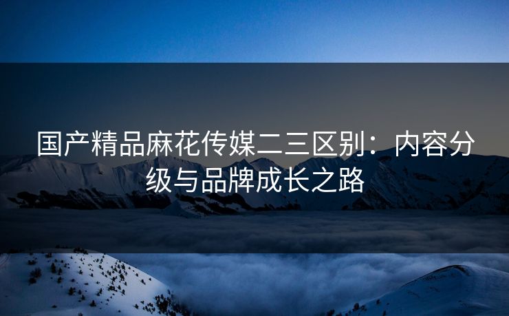 国产精品麻花传媒二三区别：内容分级与品牌成长之路