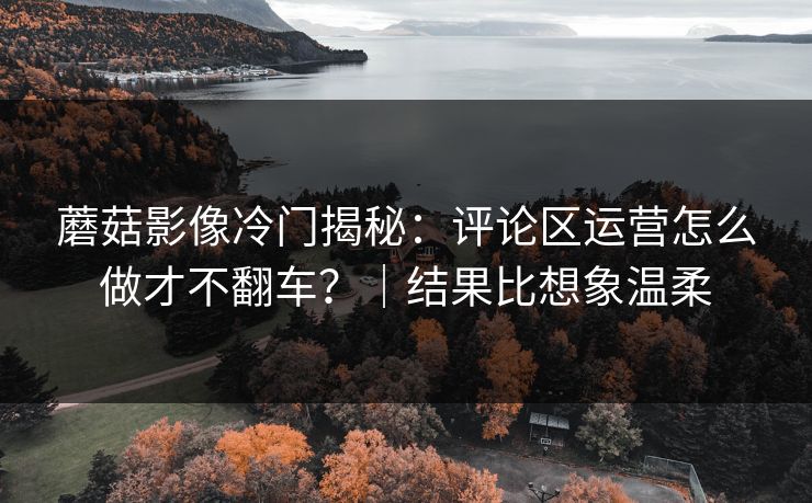 蘑菇影像冷门揭秘:评论区运营怎么做才不翻车?|结果比想象温柔 蘑菇影像冷门揭秘:评论区运营怎么做才不翻车?|结果比想象温柔